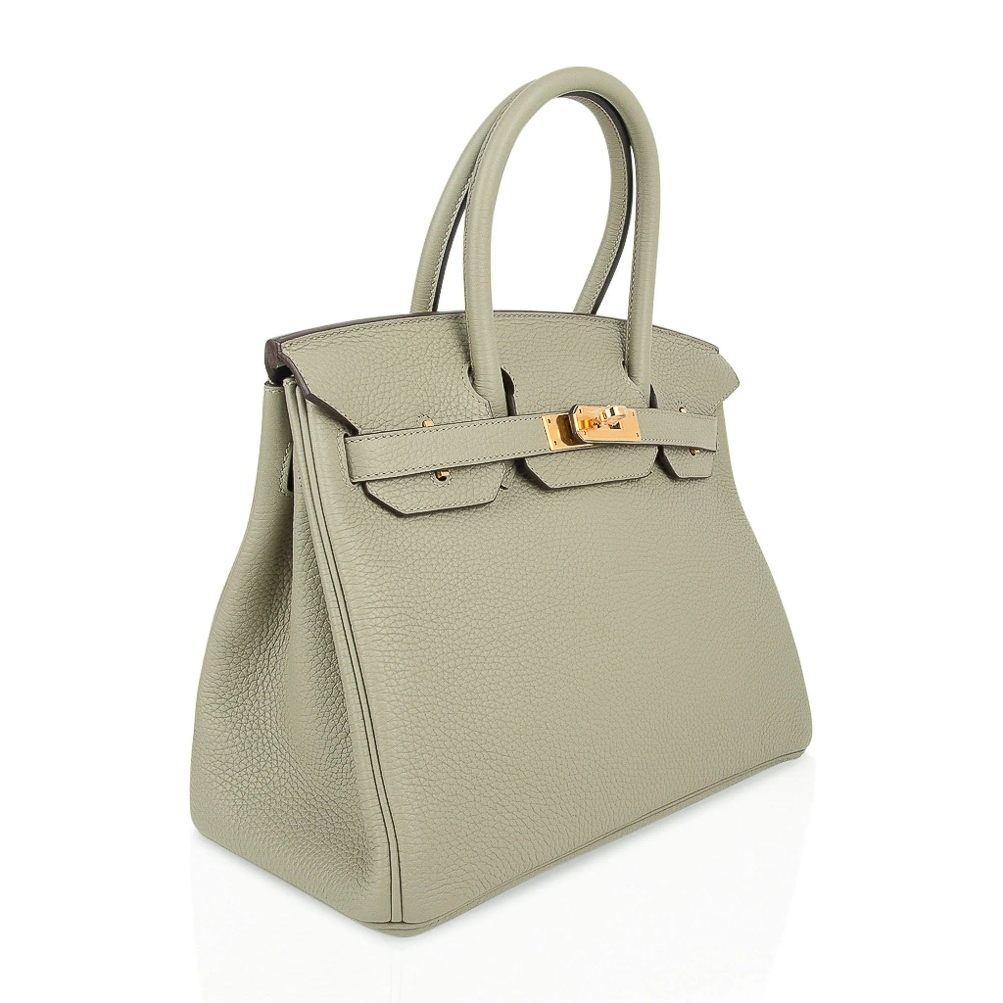 Sage (Sauge) Clemence Leather Gold Hardware Bag