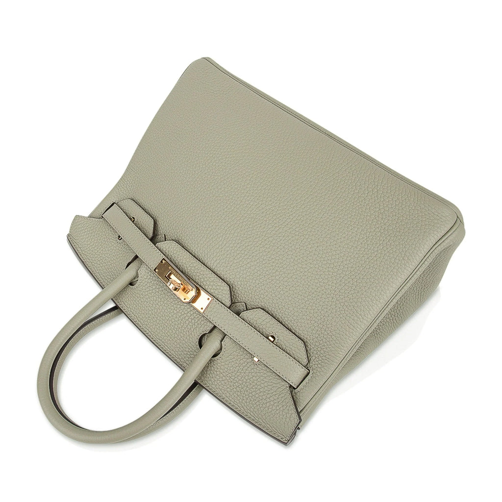 Sage (Sauge) Clemence Leather Gold Hardware Bag